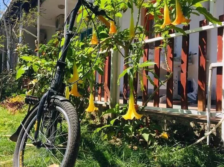 Hotelli Mavi Pansiyon