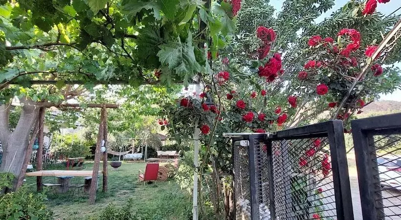 Hotelli Mavi Pansiyon