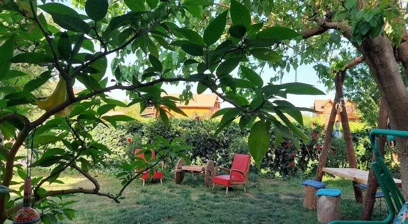 Hotelli Mavi Pansiyon