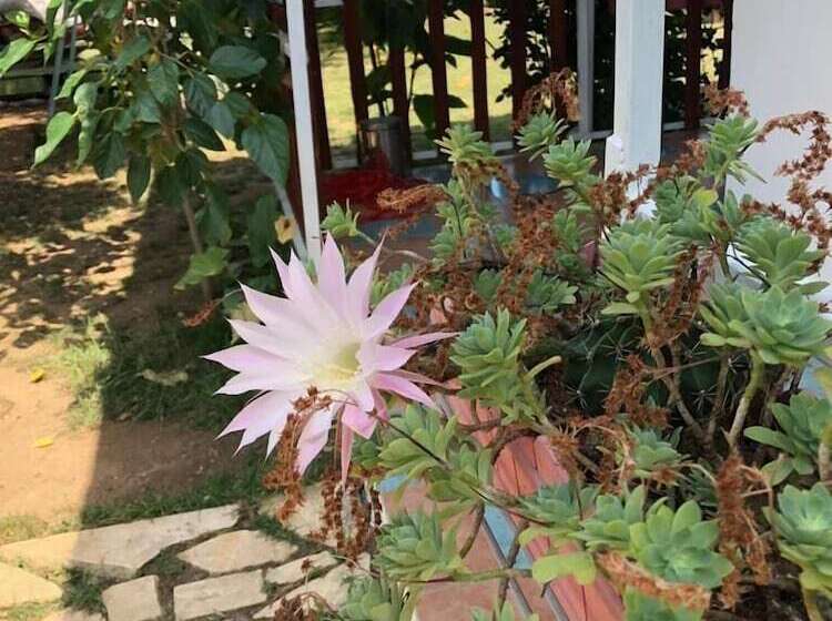 هتل Mavi Pansiyon