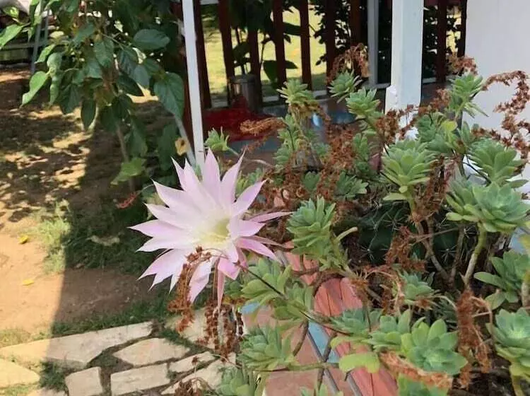 Hotelli Mavi Pansiyon