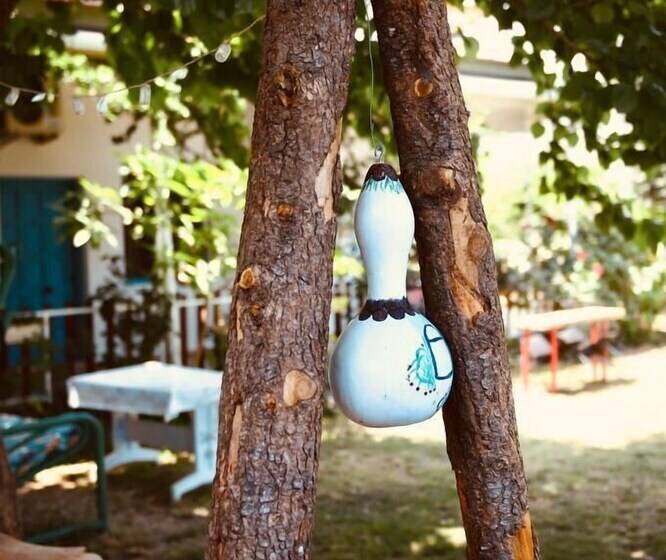 هتل Mavi Pansiyon