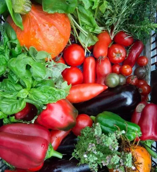 Majatalo Le Rêve D Aghon Chambres Et Table D Hôtes