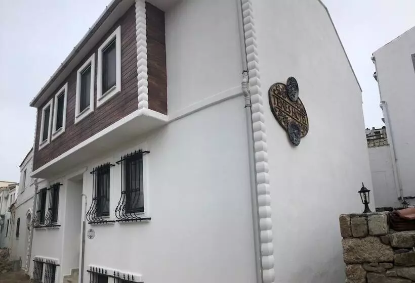 Tenes Otel