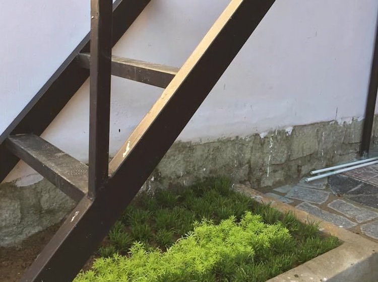 Venus Homestay Phu Yen Hostel