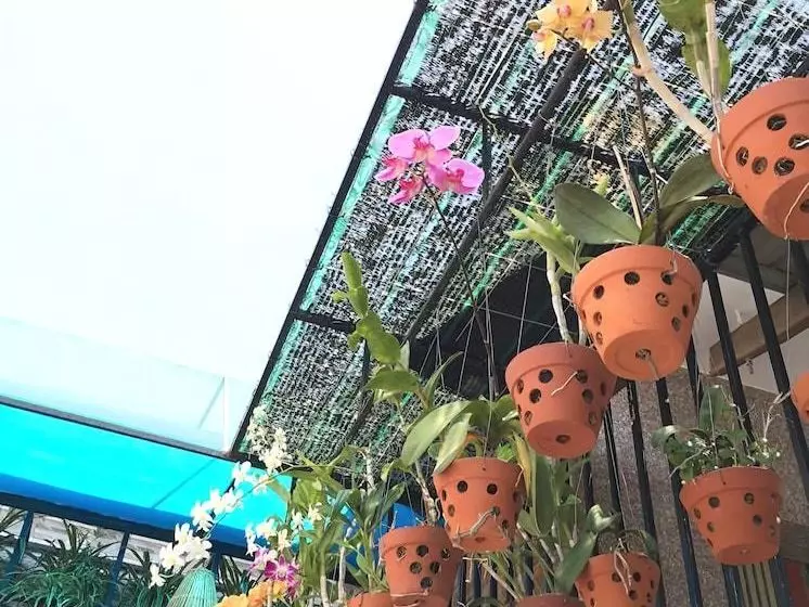 Venus Homestay Phu Yen  Hostel