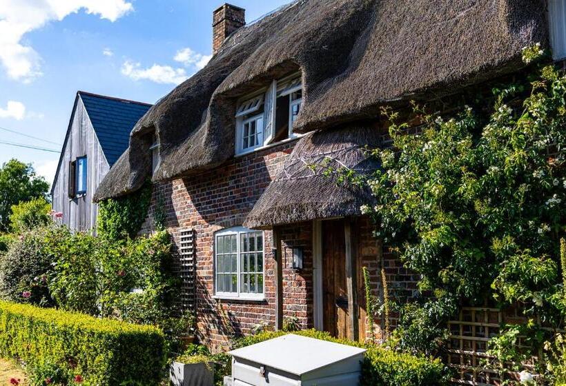 Barton Cottage Bed And Breakfast