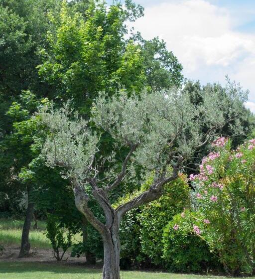 צימר Le Bouquet De L'aromate