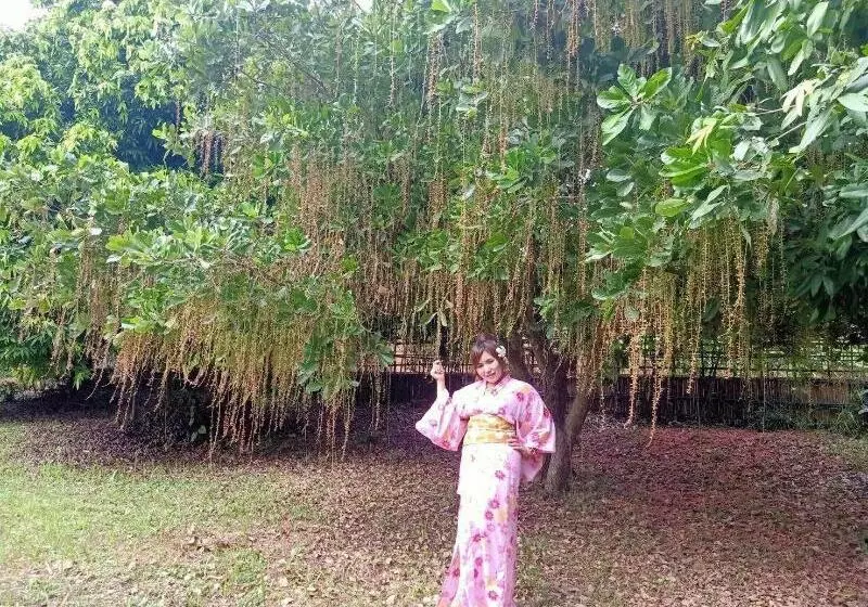 Hotelli Bamboo Grove Chiang Mai
