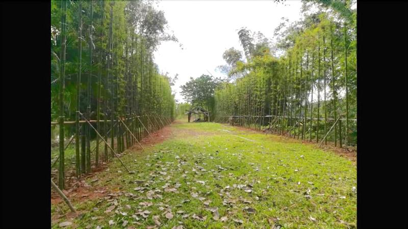 فندق Bamboo Grove Chiang Mai