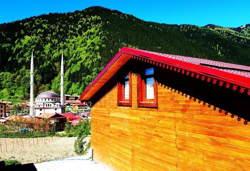 هتل Eser Pansiyon