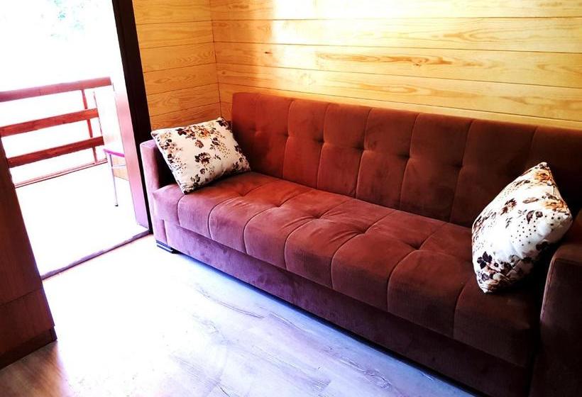 هتل Eser Pansiyon