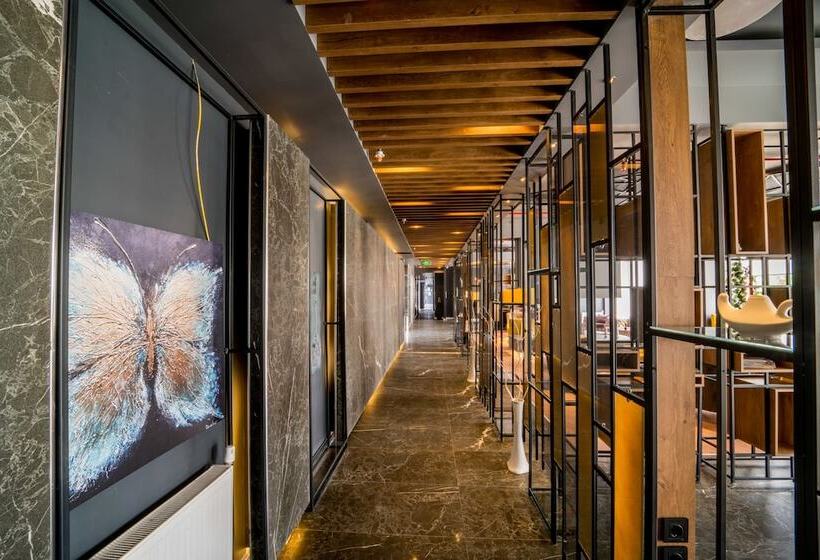 酒店 The Kayseri Loft