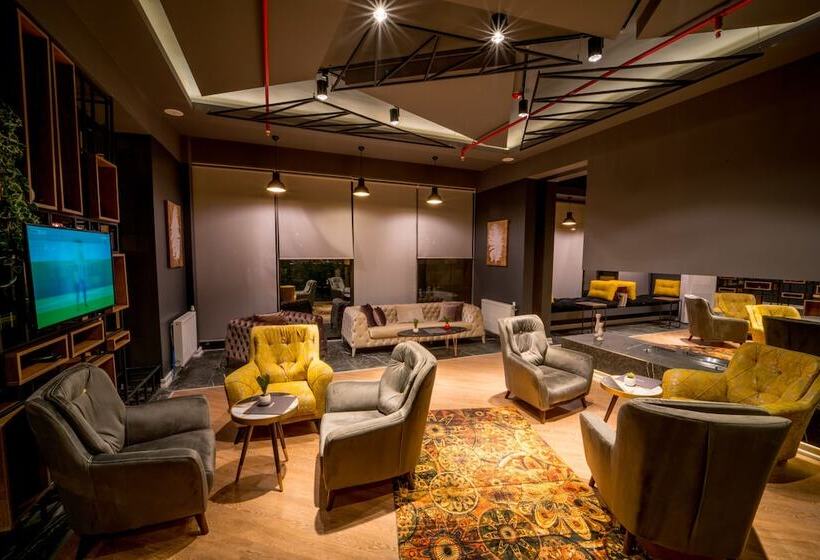 酒店 The Kayseri Loft