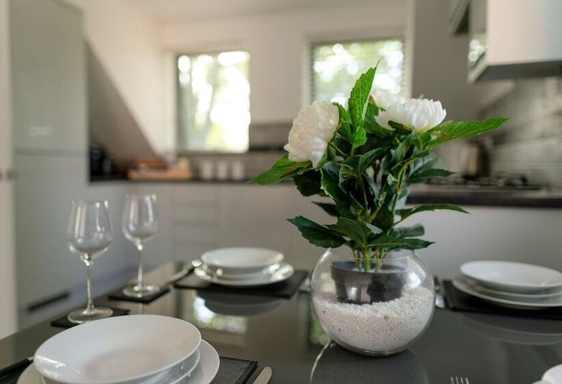 هتل Town Centre Lodge