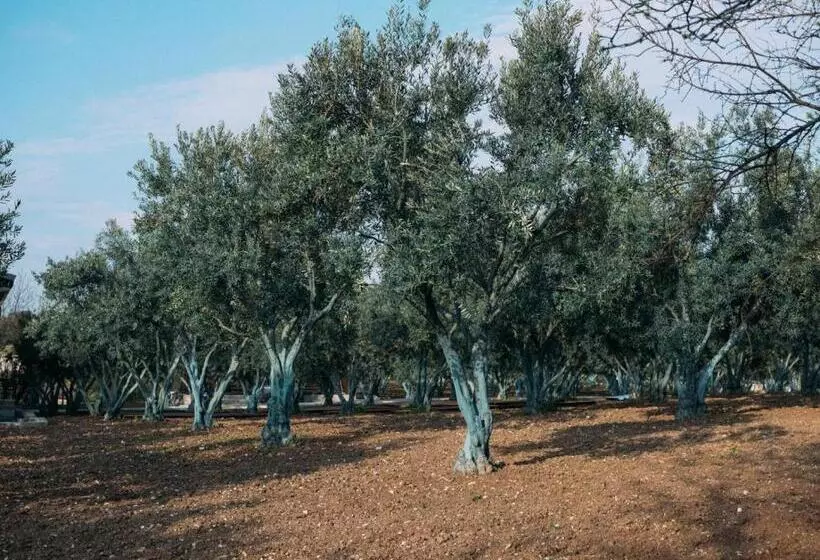 ホテル Od Urla Misafirhane