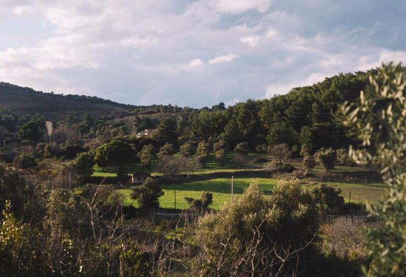 فندق Od Urla Misafirhane