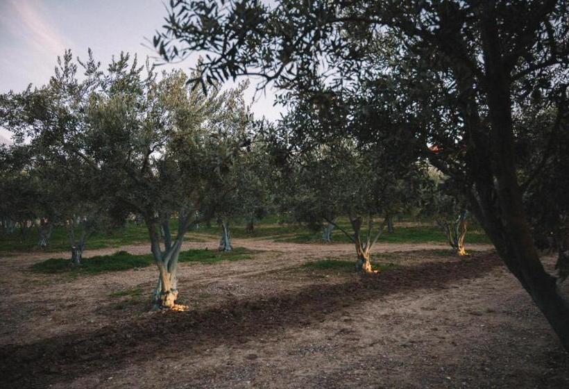 فندق Od Urla Misafirhane