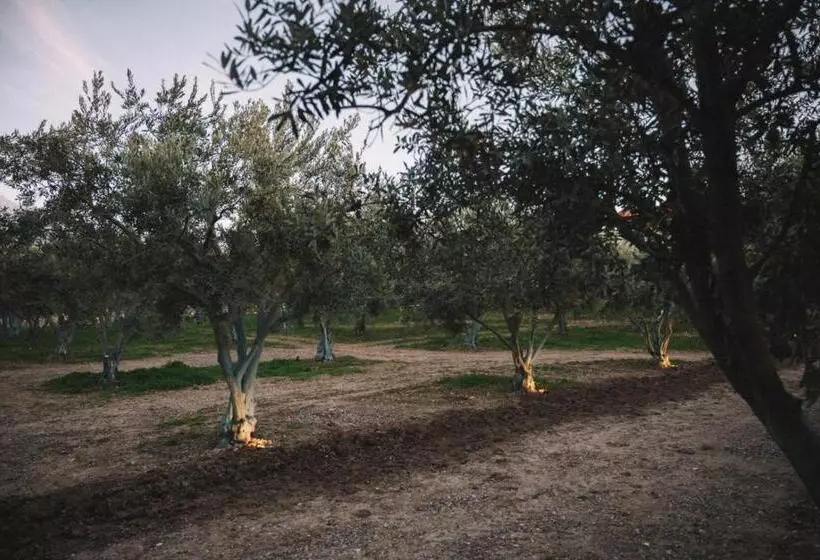 ホテル Od Urla Misafirhane