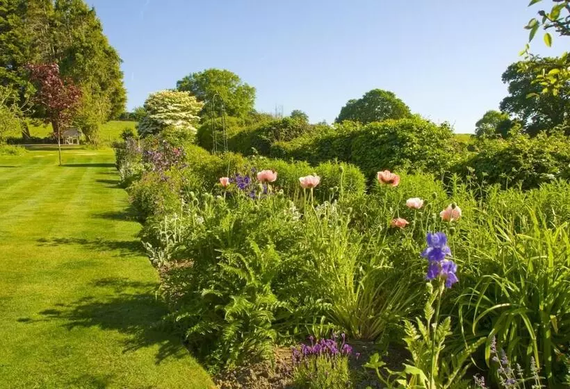 Aamiaismajoitus (B&B) Cleavers Lyng 16th Century Country House