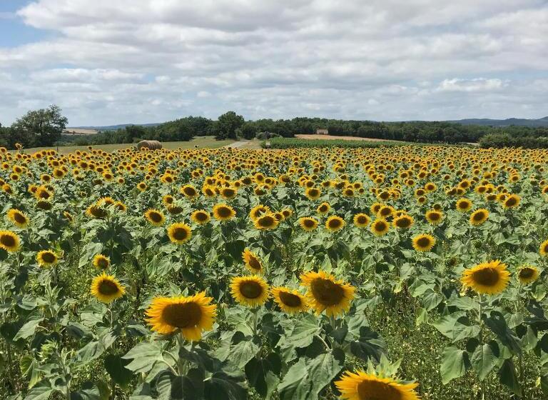 مبيت وإفطار Le Chevalier Noir