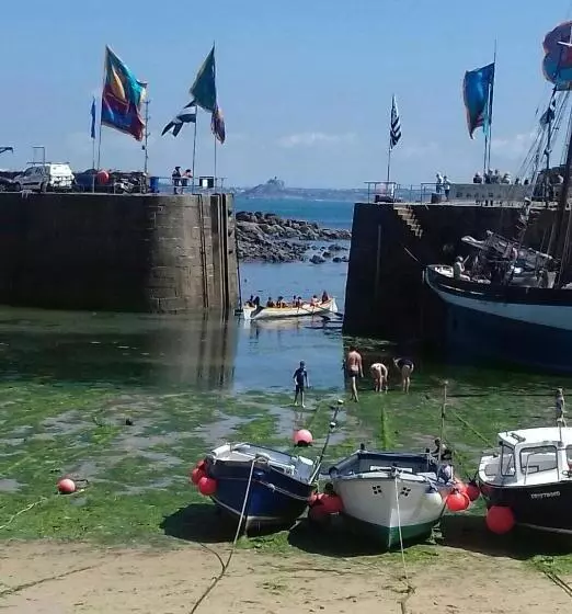 Aamiaismajoitus (B&B) Little Pengelly Farm