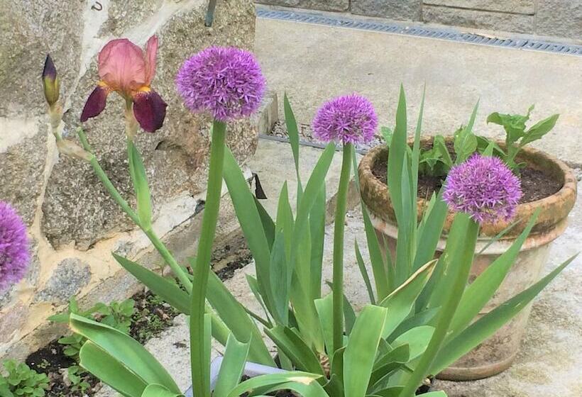 Bed and Breakfast Little Pengelly Farm