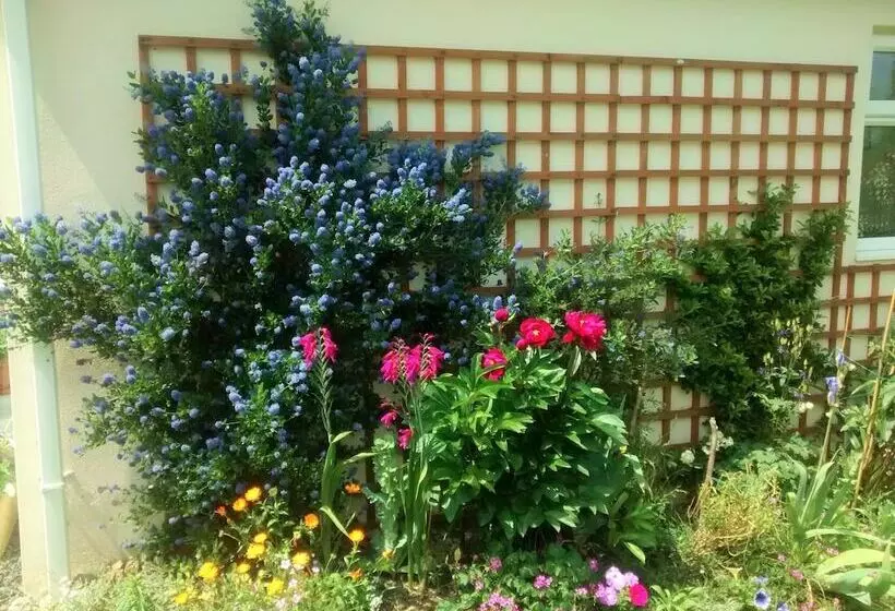 Clouds Bed And Breakfast