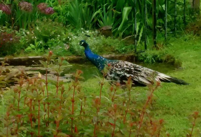 Clouds Bed And Breakfast