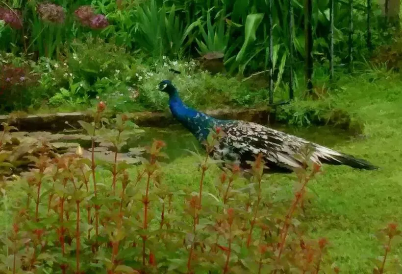 Clouds Bed And Breakfast