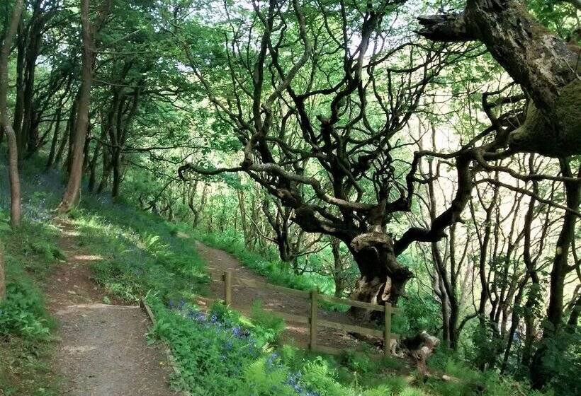 Clouds Bed And Breakfast