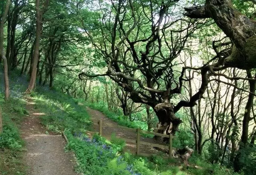 Clouds Bed And Breakfast