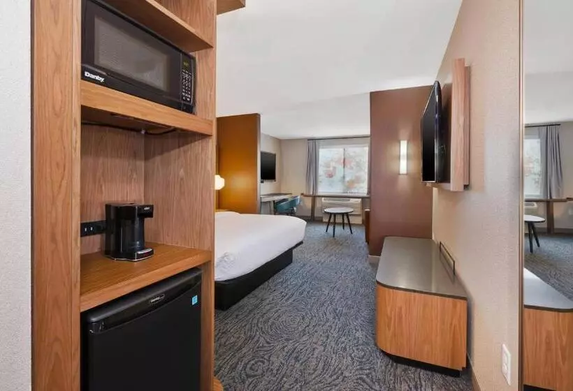 Hotelli Fairfield Inn & Suites By Marriott Kalamazoo