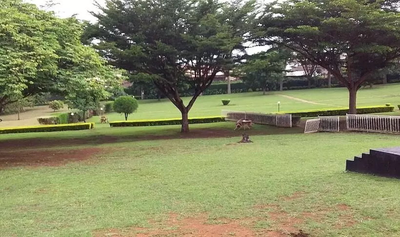 Kolping Hotel Masindi