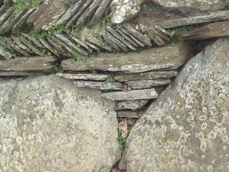 Trehane Farmhouse Bed And Breakfast, Working Farm