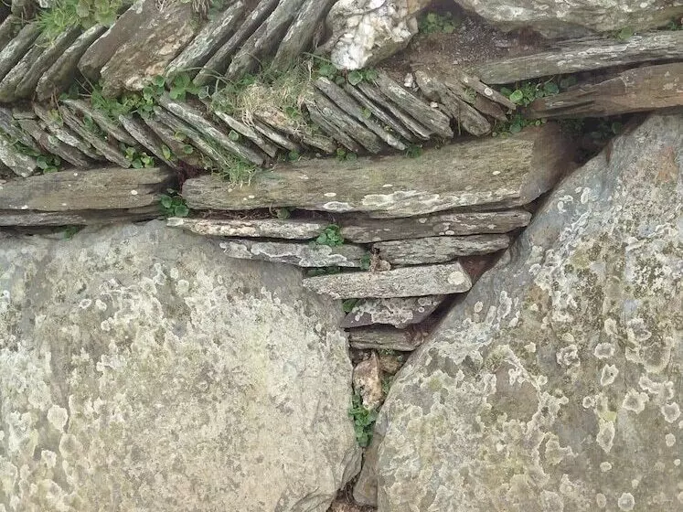 Trehane Farmhouse Bed And Breakfast, Working Farm