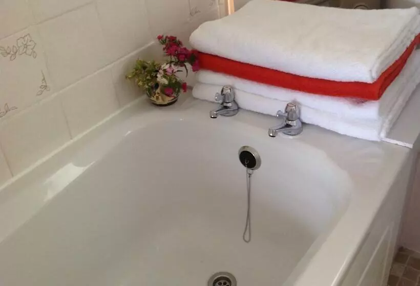 Trehane Farmhouse Bed And Breakfast, Working Farm