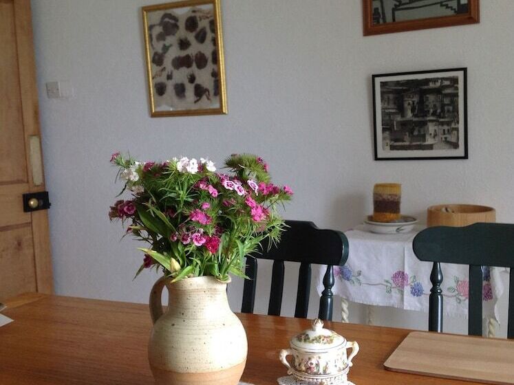 Trehane Farmhouse Bed And Breakfast, Working Farm