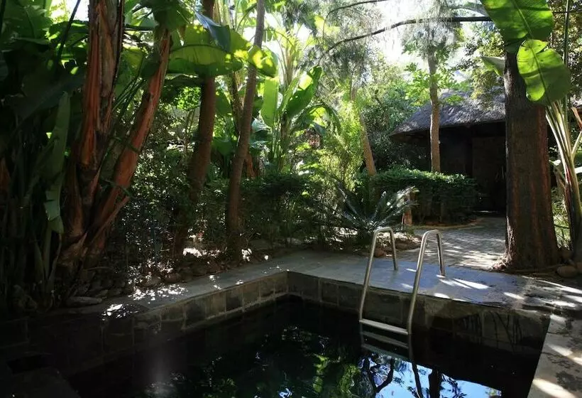 Misty Hills Country Hotel, Conference Centre & Spa