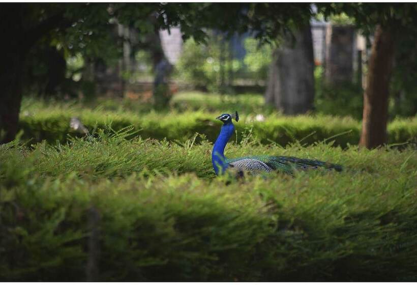 فندق The Sanctuary At Tissawewa