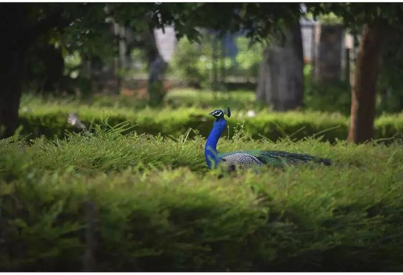 Отель The Sanctuary At Tissawewa