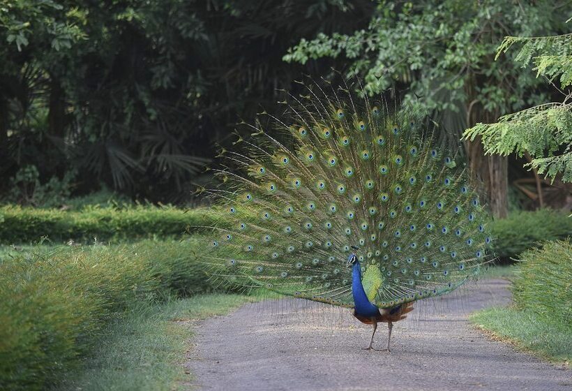فندق The Sanctuary At Tissawewa