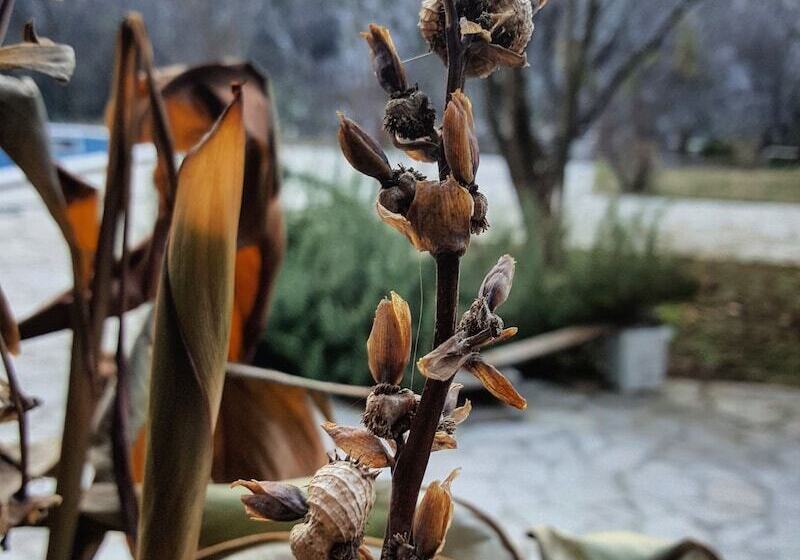 تختخواب و صبحانه Villa Velagić