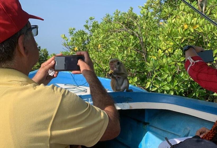 酒店 Rodrigo's Villa & Restaurant