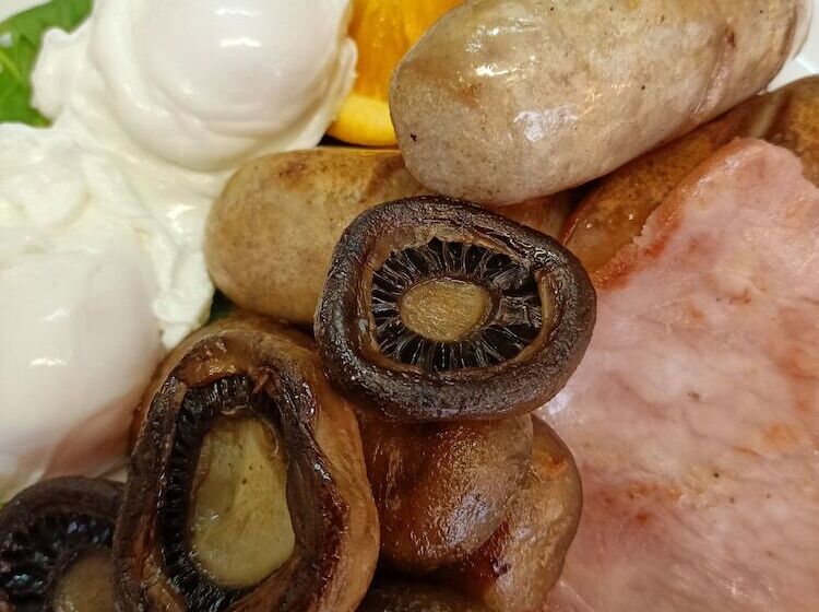 모텔 Ascot Lodge Motor Inn