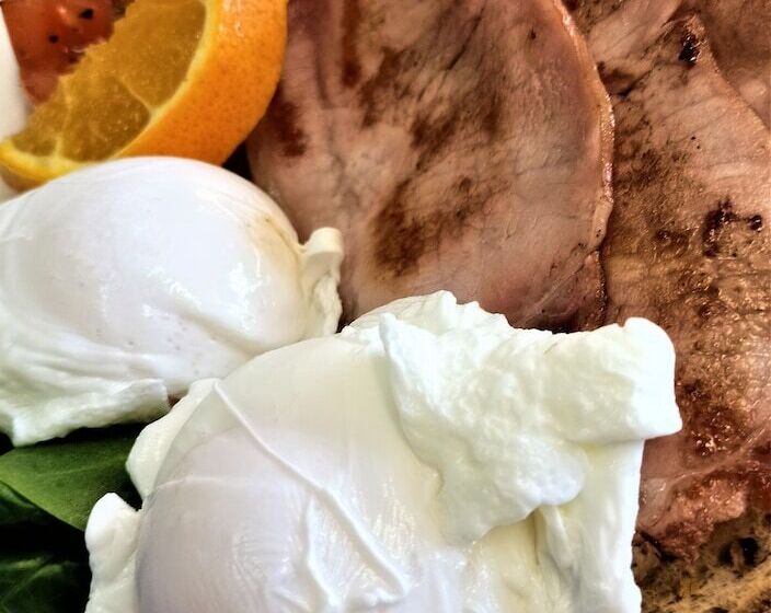 모텔 Ascot Lodge Motor Inn