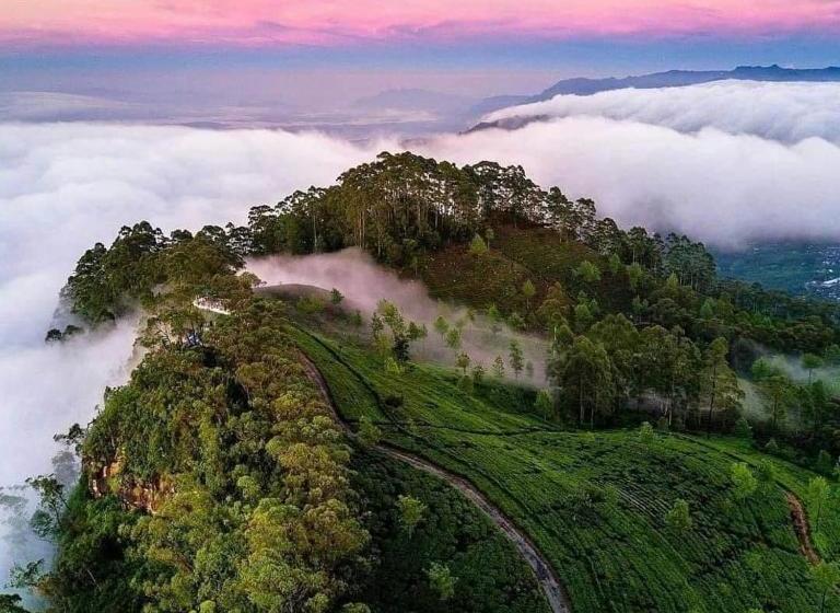 Hotell Royal Regency Bungalow