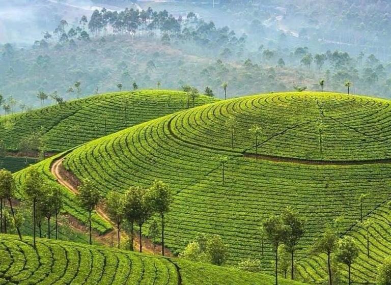 Hotell Royal Regency Bungalow