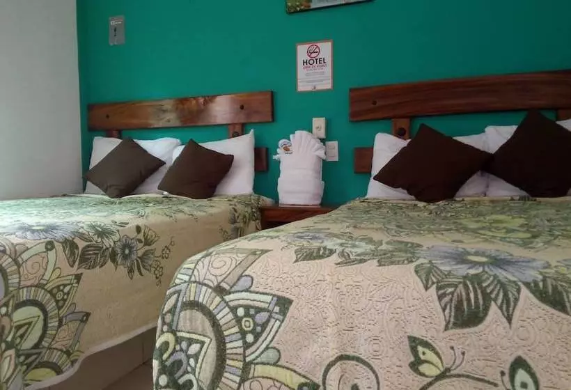 ホテル Simón Beach