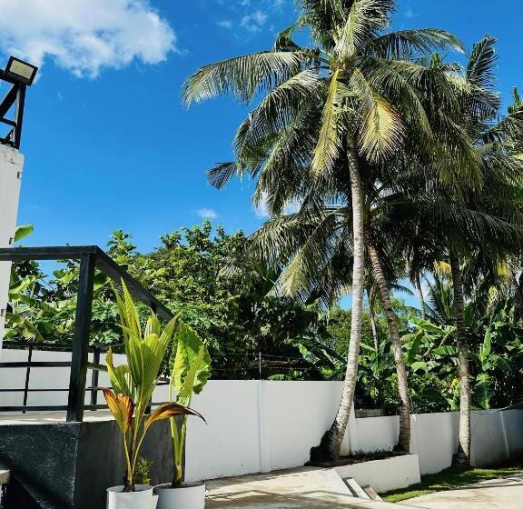 Pig Dive Hostel Moalboal